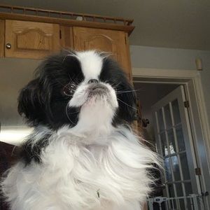 Meet your Posher, Tracy